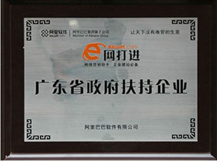 政府扶持企業